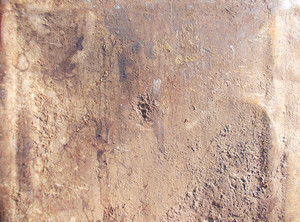 Concrete Paper Texture Royalty-Free Stock Photo SBI-300542929 - Storyblocks