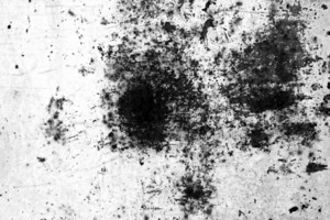 Overlay Texture Royalty-Free Stock Photo SBI-300547111 - Storyblocks