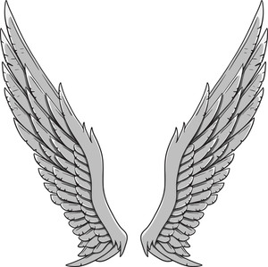Wings Vector Element Royalty-Free Stock Vector SBI-300111002 - Storyblocks