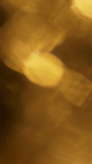 Gold Background Texture Stock Footage: Royalty-Free Video Clips ...