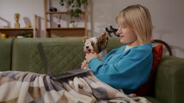 Computer Screen | Animals stock footage - Storyblocks