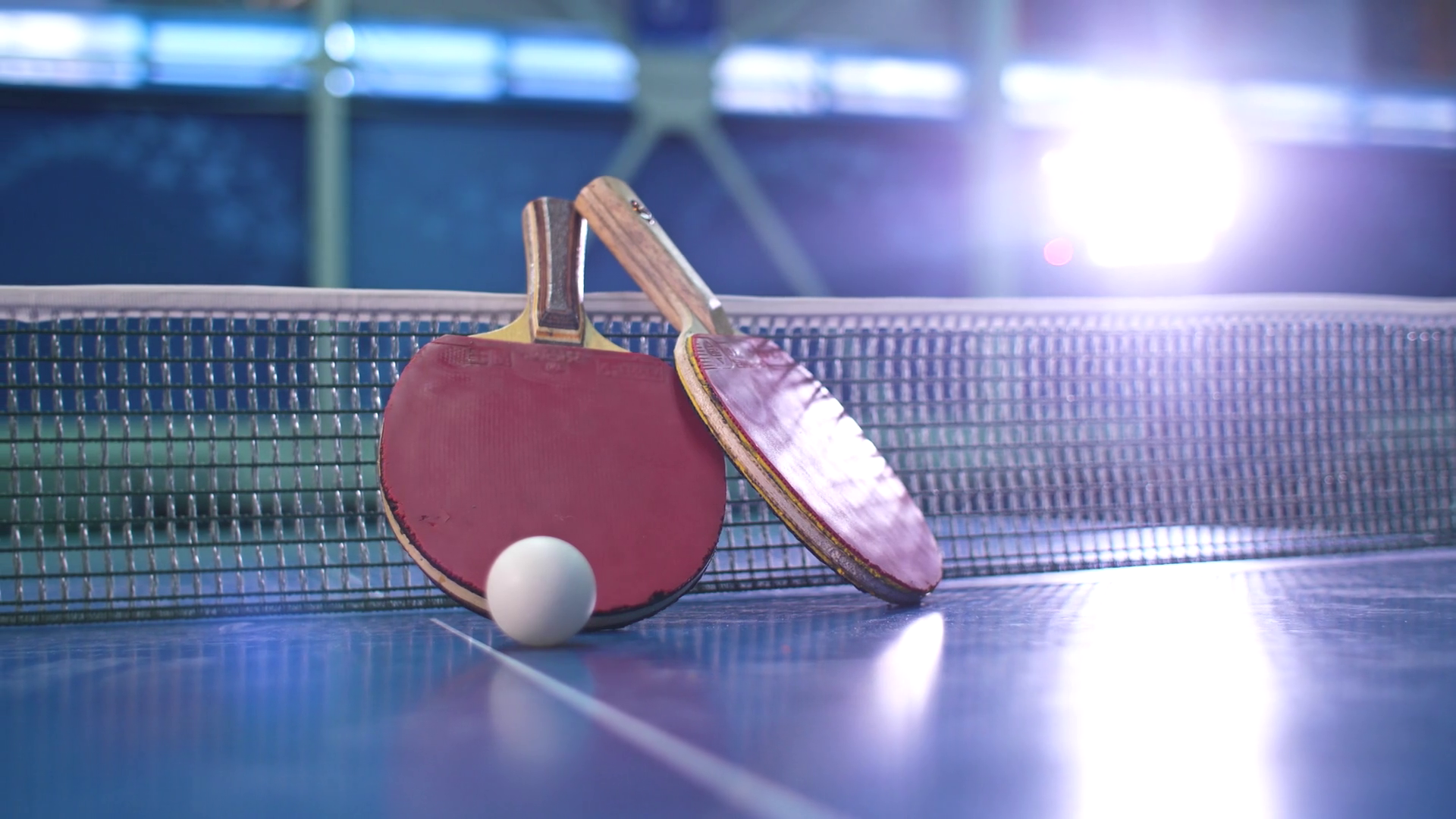 Ping Pong Paddles Balls Stock Footage SBV-338169564 - Storyblocks
