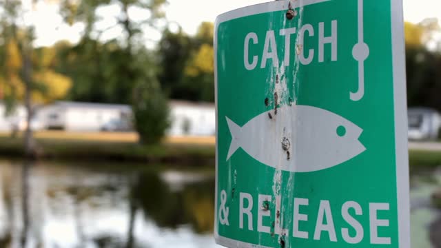 Catch And Release Stock Footage: Royalty-Free Video Clips - Storyblocks