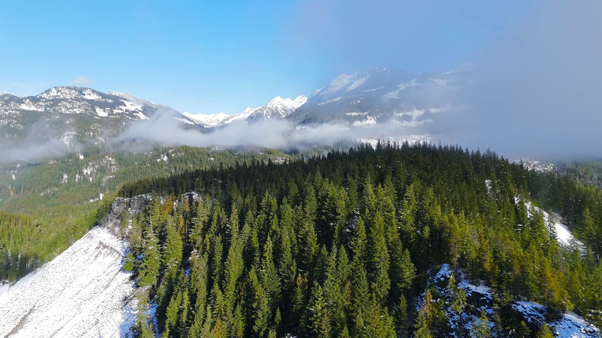 Aerial View Of Green Trees With Fog On Stock Footage SBV-348818134 ...