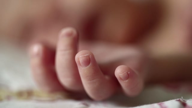 Little Hand Stock Footage: Royalty-Free Video Clips - Storyblocks