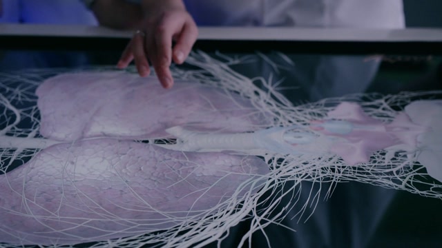 Computer Model Of Organs Stock Footage: Royalty-Free Video Clips ...