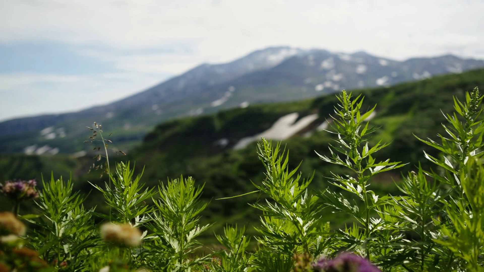Picturesque Landscape With Lush Greenery On Stock Footage SBV-351671330 ...