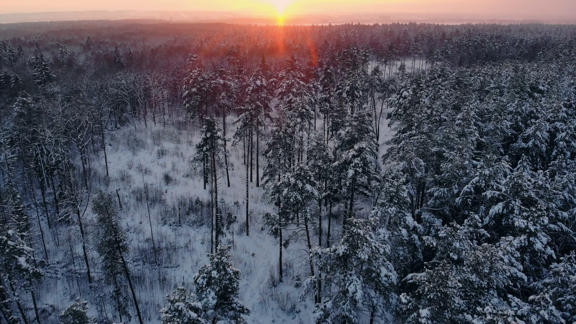 Snowfall: Winter Wonderland - Serene Nature Stock Footage SBV-330781534 ...