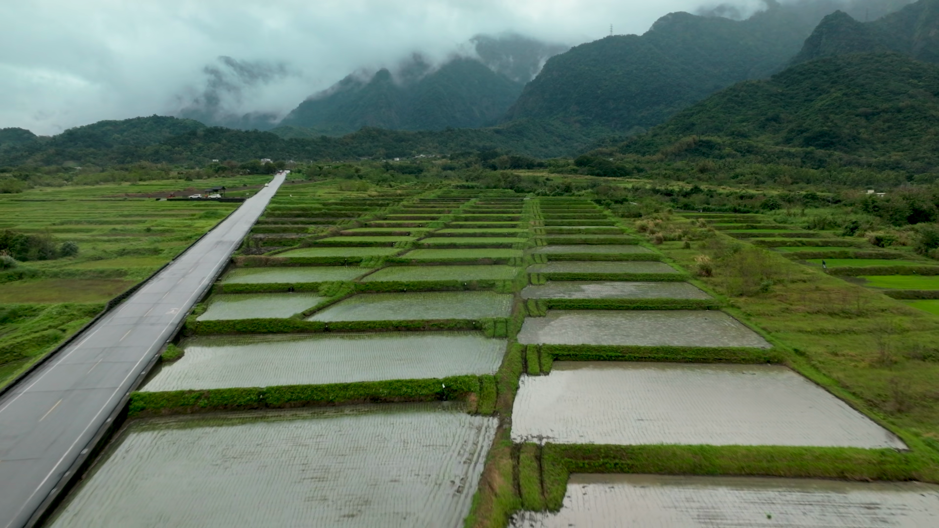 Aerial View Of Rice Paddy Fields In Taiwan Stock Footage SBV-354195285 ...