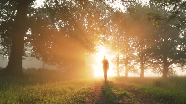 God Rays Stock Footage: Royalty-Free Video Clips - Storyblocks