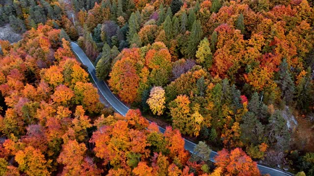 Aerial Fall Stock Footage: Royalty-Free Video Clips - Storyblocks