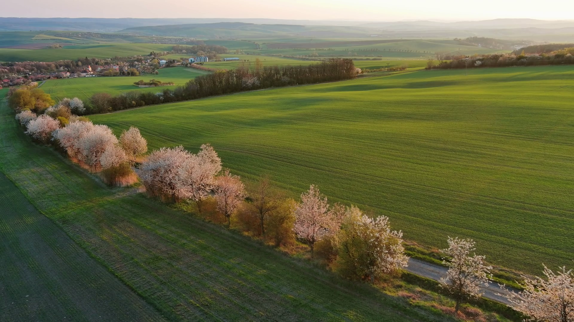 Spring Nature Landscape With Blooming Trees Stock Footage SBV-349239368 ...
