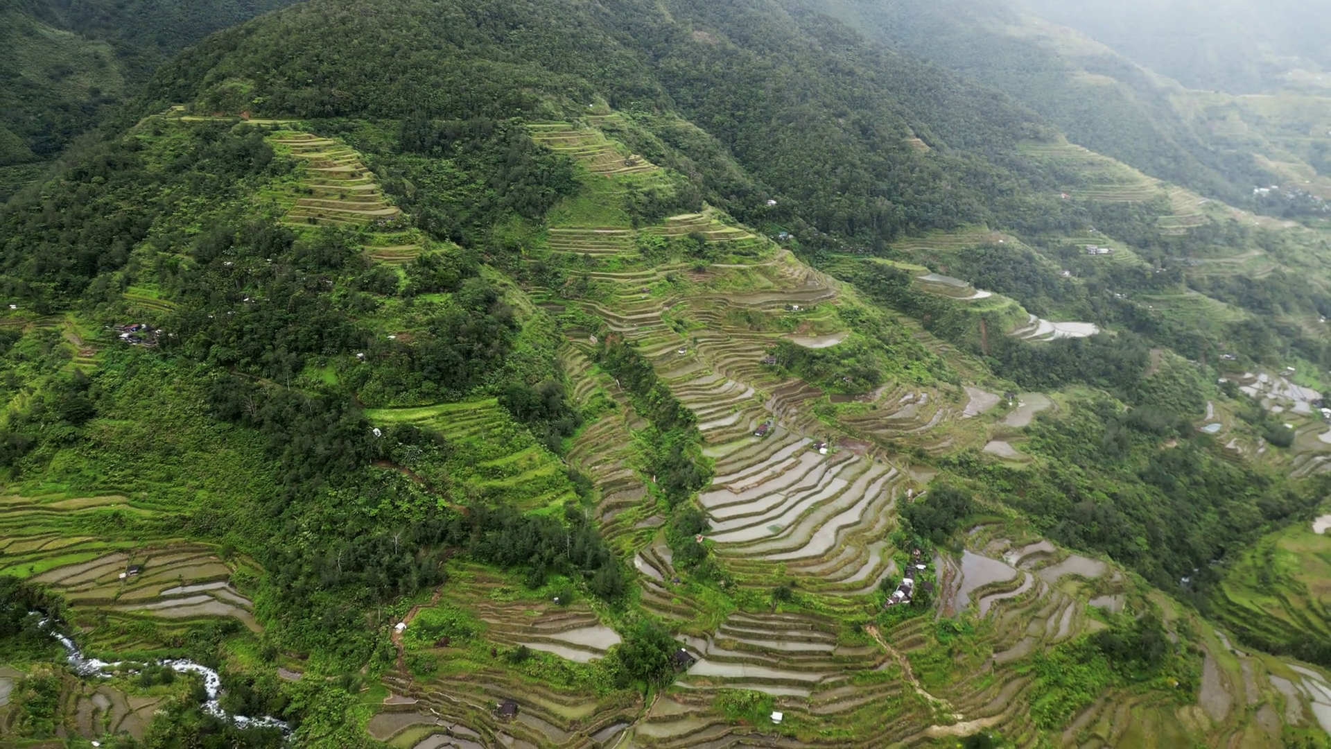 Aerial View Of Picturesque Rice Terraces In Stock Footage SBV-351974779 ...