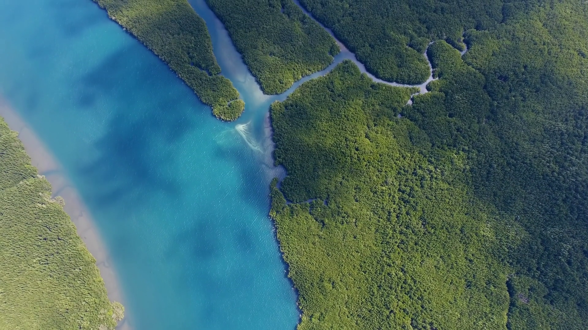 Top View Aerial Video Of Estuaries Strait On Stock Footage SBV ...
