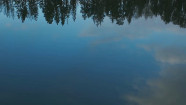 4k Calm Stock Footage: Royalty-Free Video Clips - Storyblocks