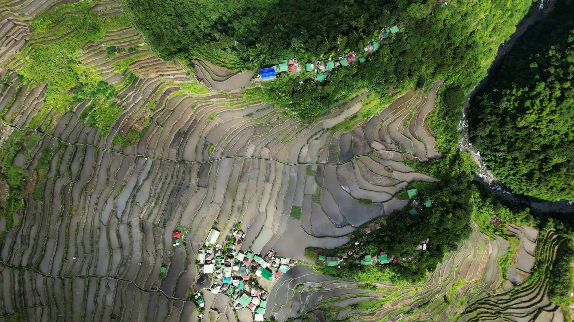 Aerial Top View Of Picturesque Batad Rice Stock Footage SBV-348801118 ...
