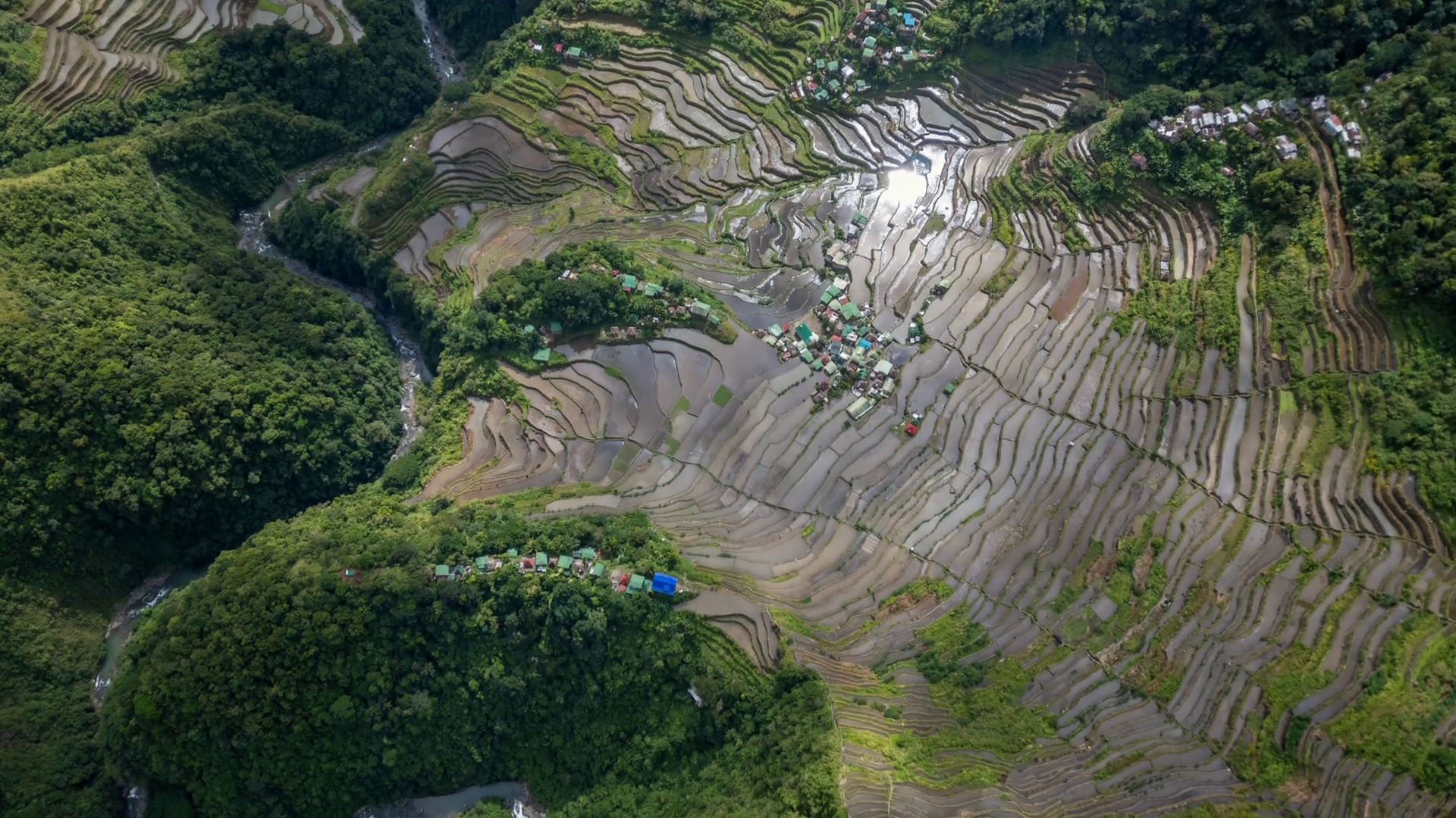 Aerial Top View Of Picturesque Batad Rice Stock Footage SBV-348867794 ...
