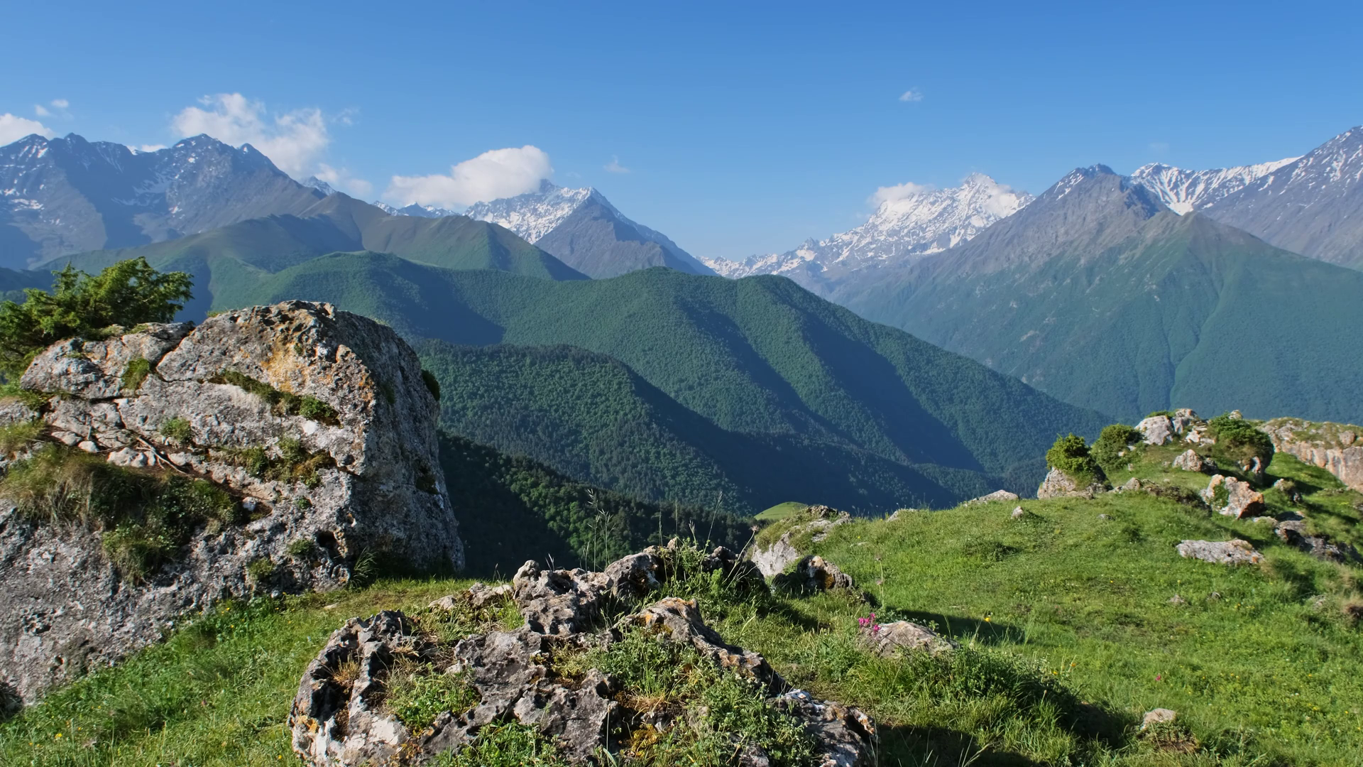 Landscape With Pine Tree On Rock In High Stock Footage SBV-348928740 ...