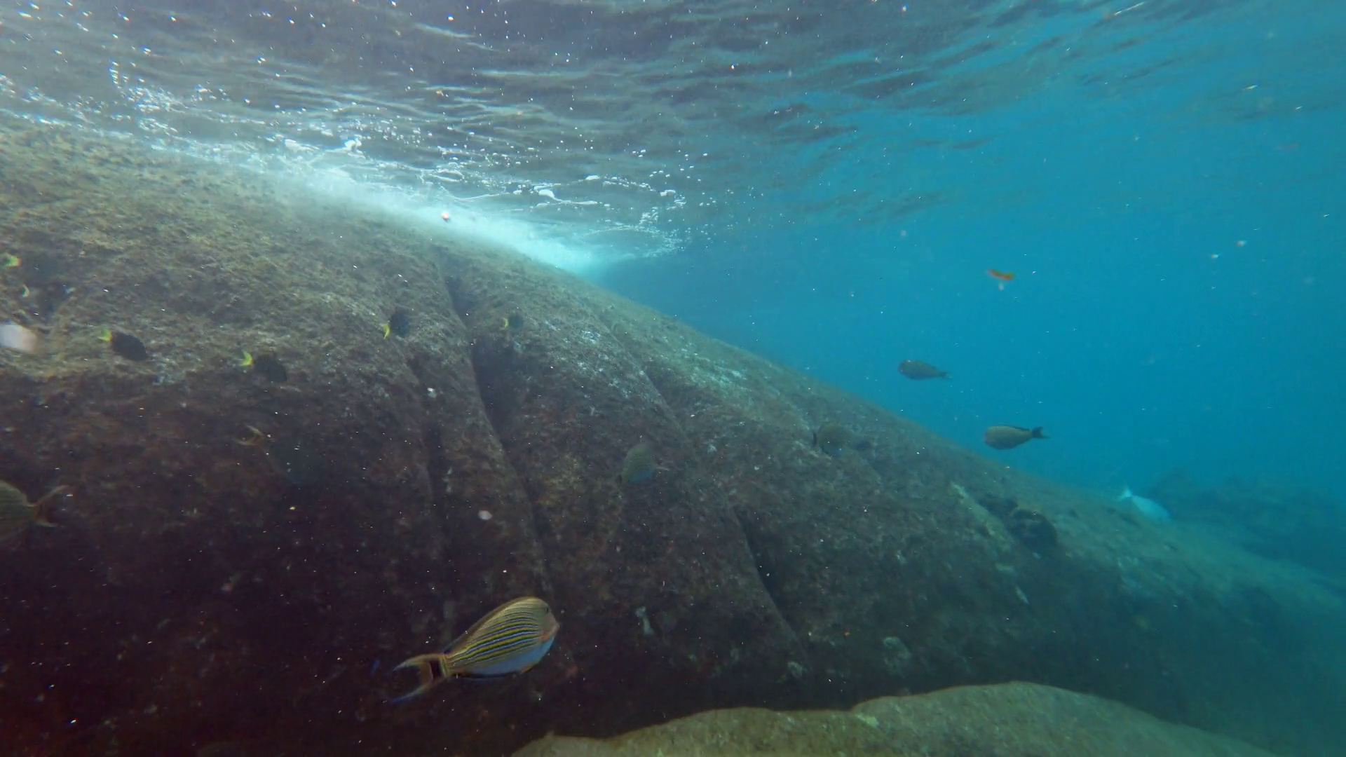 Moving Between Granite Boulder Coral Reef Stock Footage SBV-348510957 ...