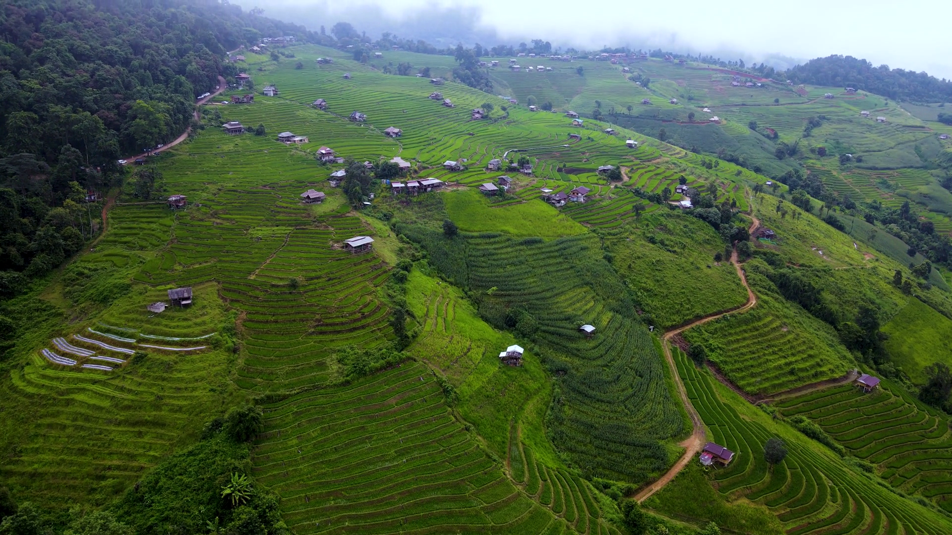 Discover Breathtaking Rice Terraces Of Stock Footage SBV-351921624 ...