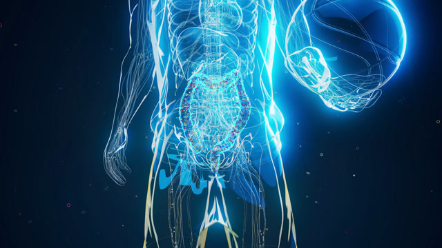 Human Metabolism Animation Stock Footage: Royalty-Free Video Clips ...