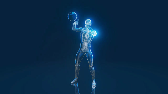 Man Body Animation Stock Footage: Royalty-Free Video Clips - Storyblocks