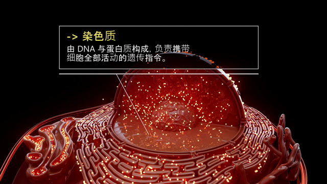 China Cell Stock Footage: Royalty-Free Video Clips - Storyblocks