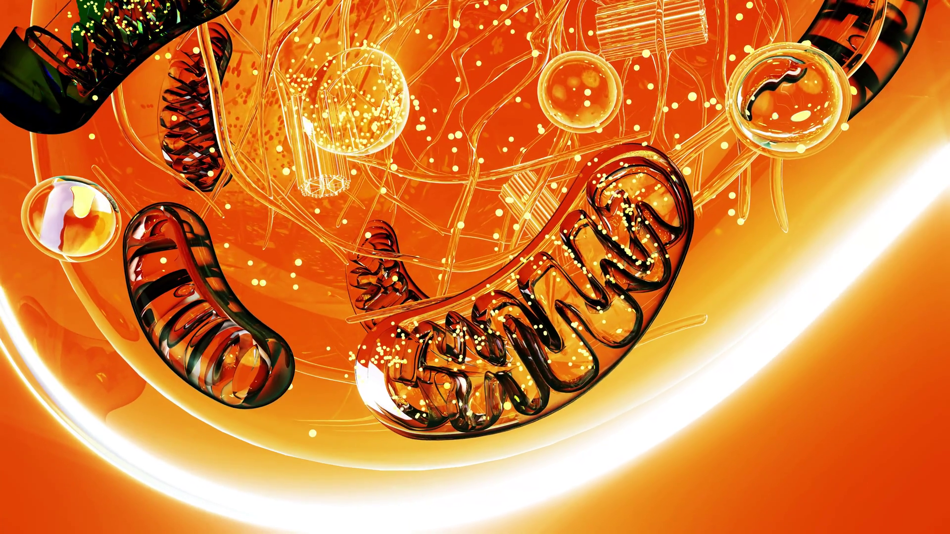 Conceptual Animation Of Biological Cell Stock Motion Graphics SBV ...