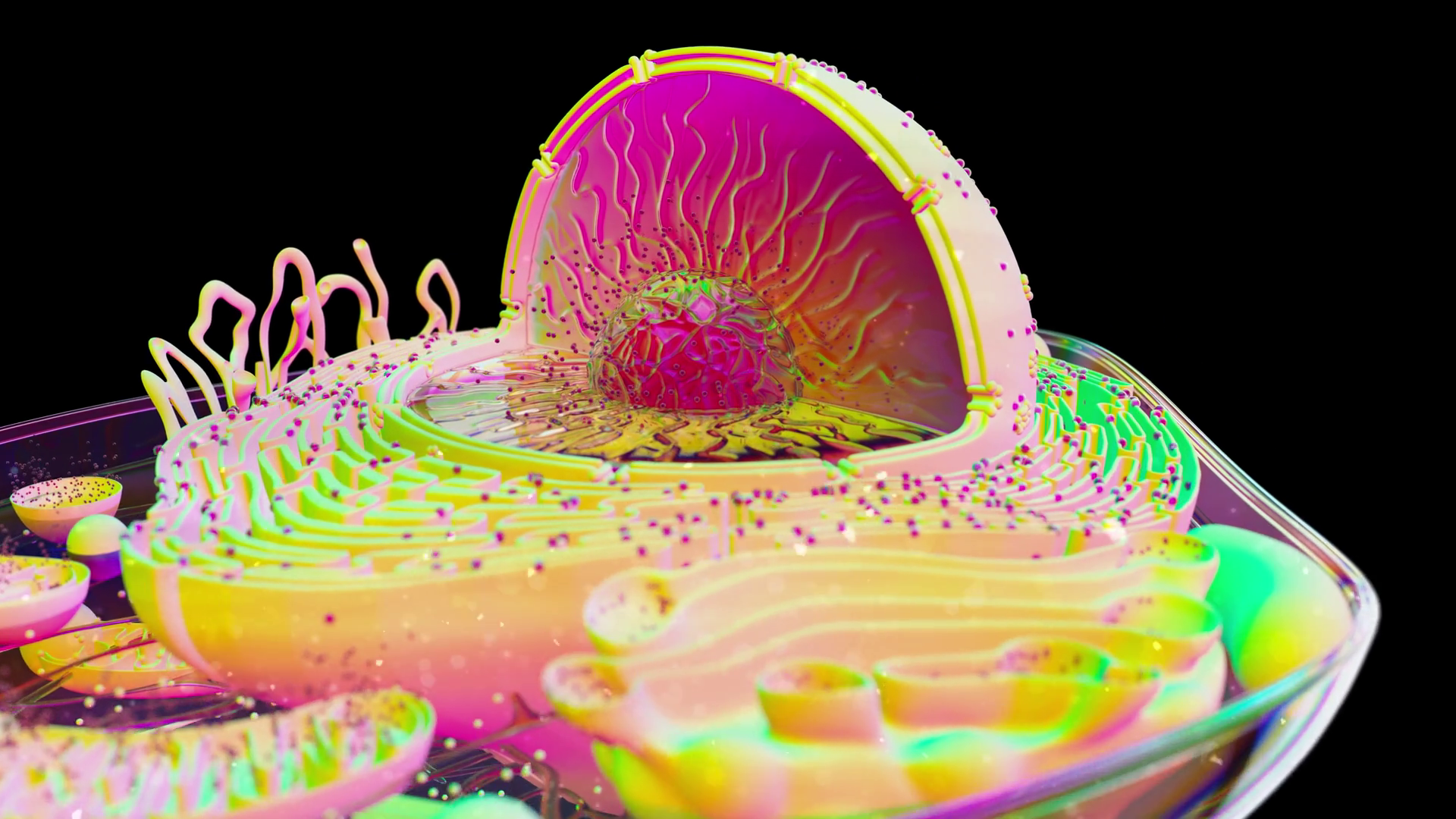 4k Abstract Animation Of Biological Cell Stock Motion Graphics SBV ...