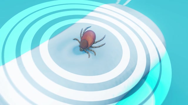 Pest Control Animation Stock Footage: Royalty-Free Video Clips ...