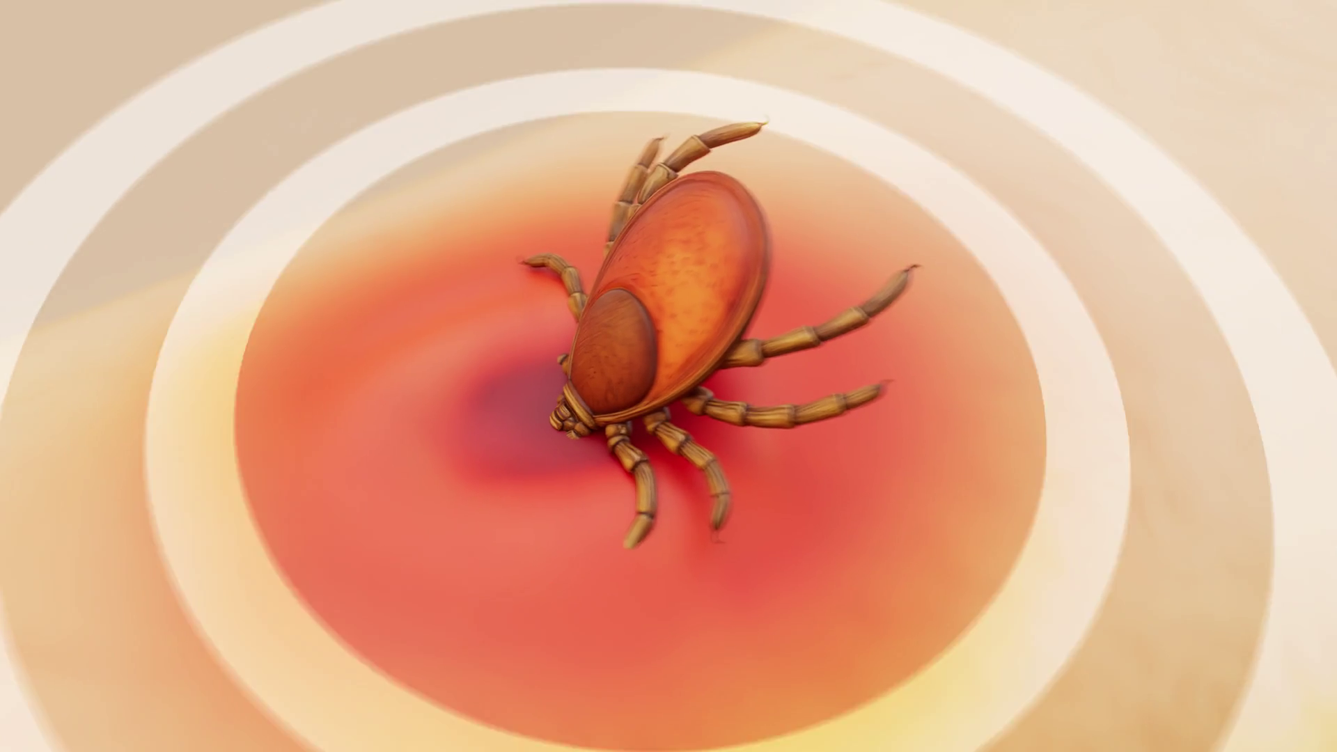 Conceptual 3d Animation Of Removal Of Tick Stock Footage SBV-352907530 ...