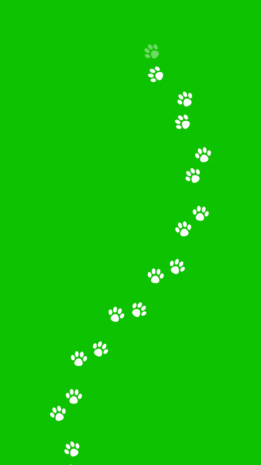 Animal Cat Dog Paw Prints On Green Stock Footage SBV-353939917 ...