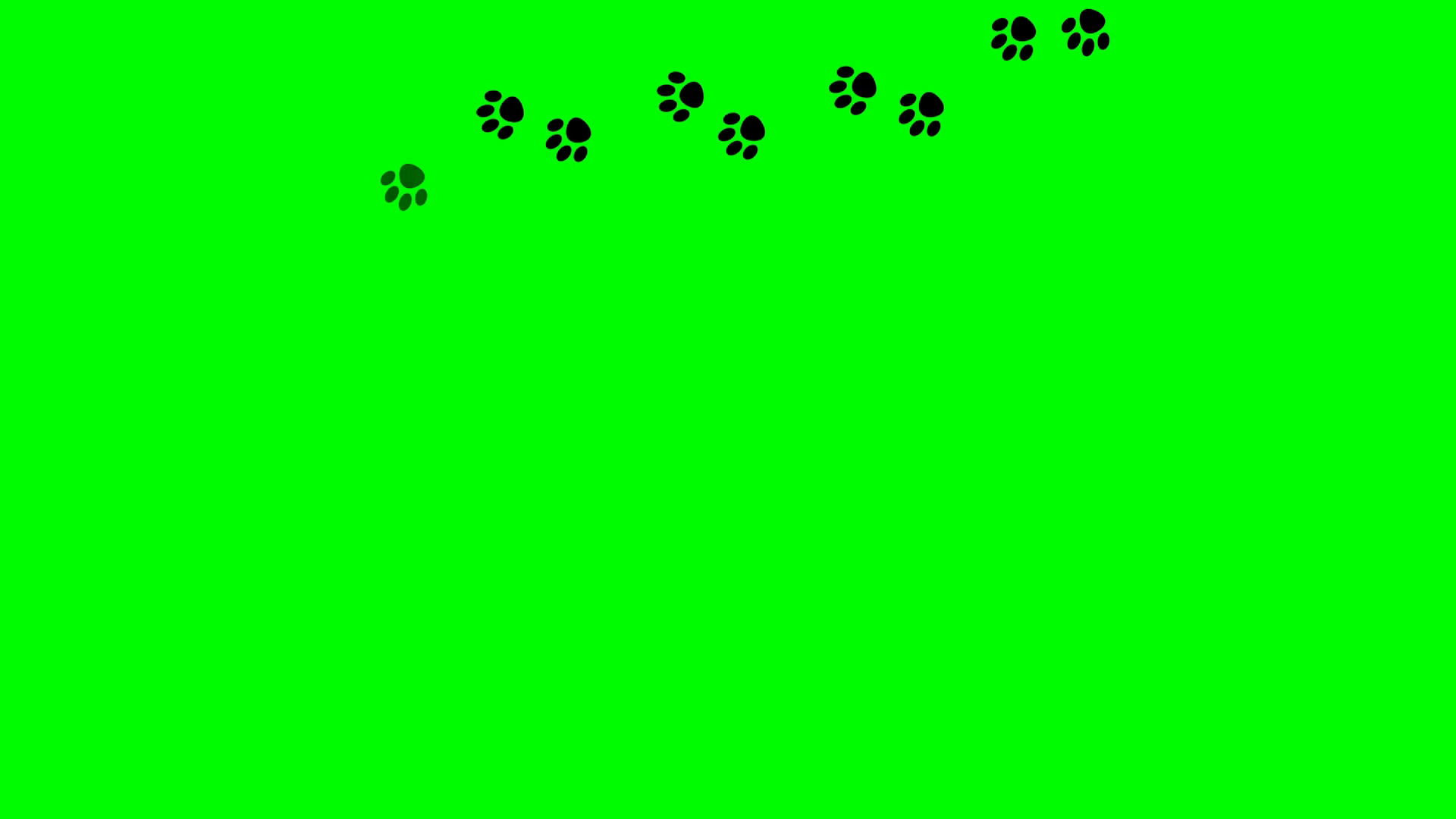 Animal Cat Dog Paw Prints On Green Stock Motion Graphics SBV-348534099 ...