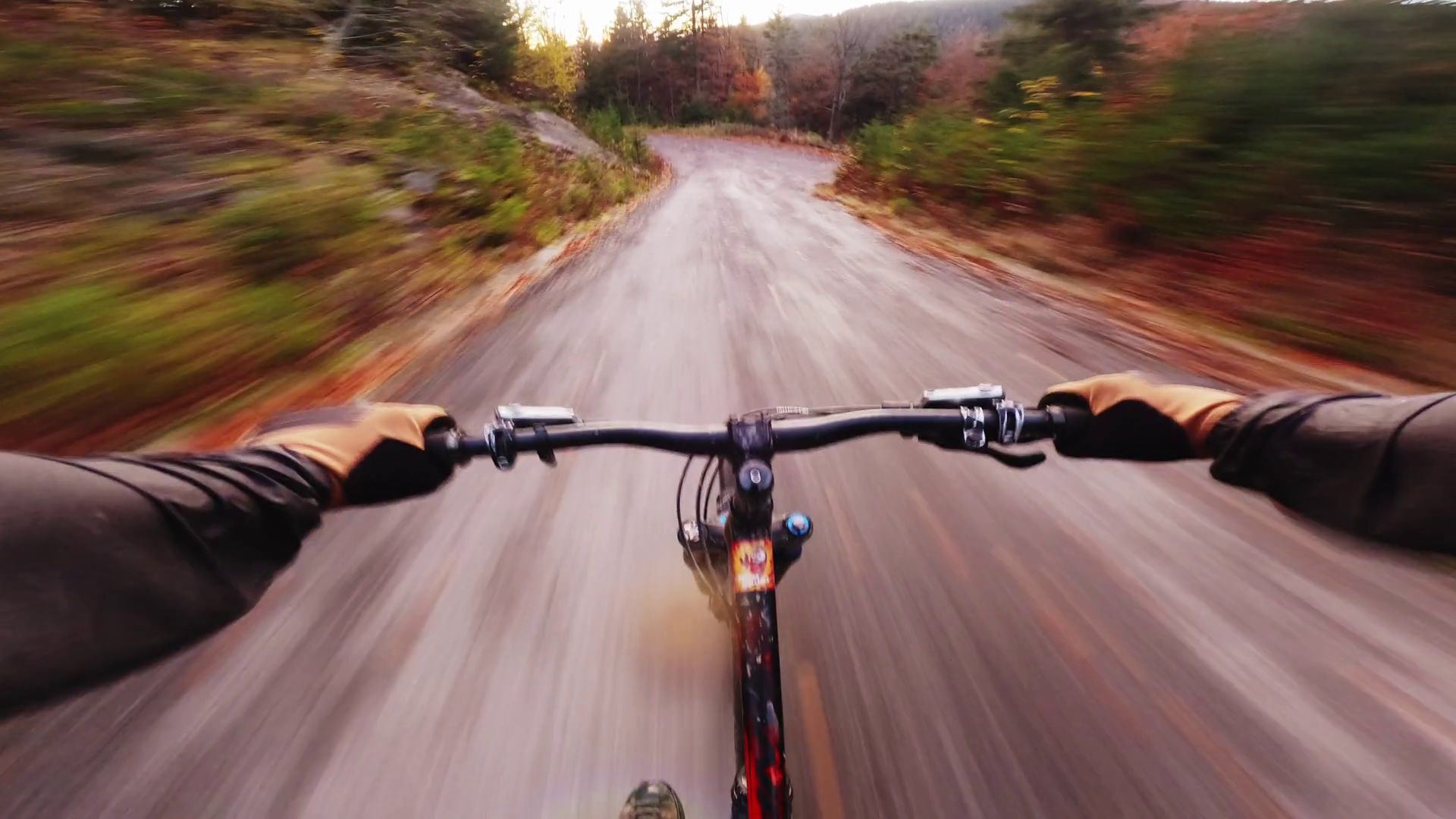 Fast Mtb Bike Ride In Autumn Forest At Dusk Stock Footage SBV-351767799 ...