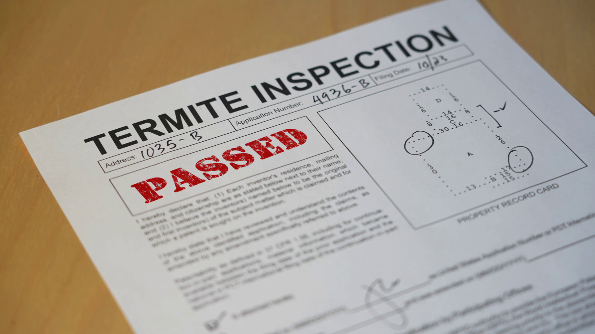 A Closeup View Of Termite Home Inspection Is Stock Footage SBV ...