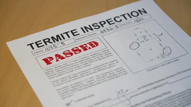 Termite Inspection Stock Footage: Royalty-Free Video Clips - Storyblocks