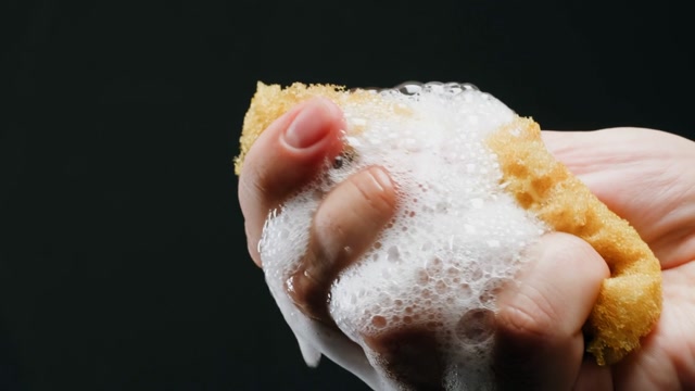 Sponge Stock Footage: Royalty-Free Video Clips - Storyblocks