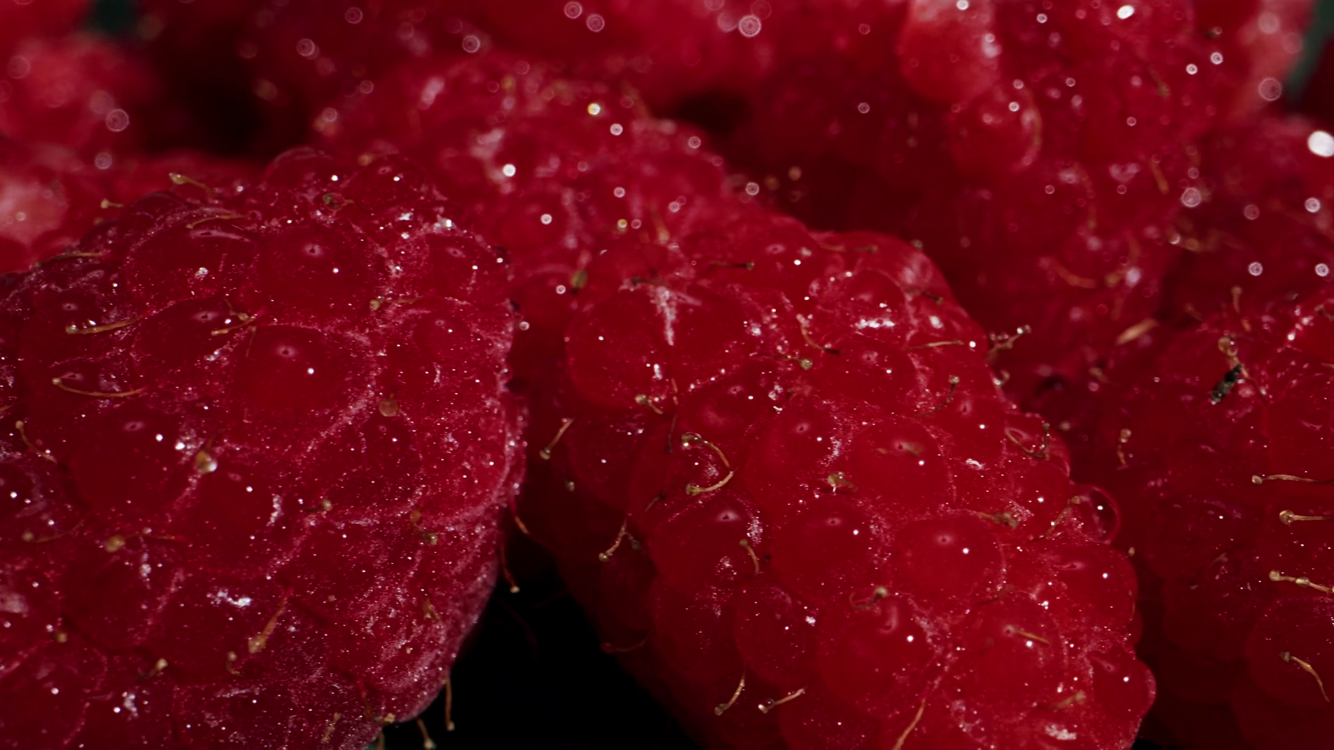 A Stunning Closeup Of Fresh Raspberries Stock Footage SBV-349185284 ...