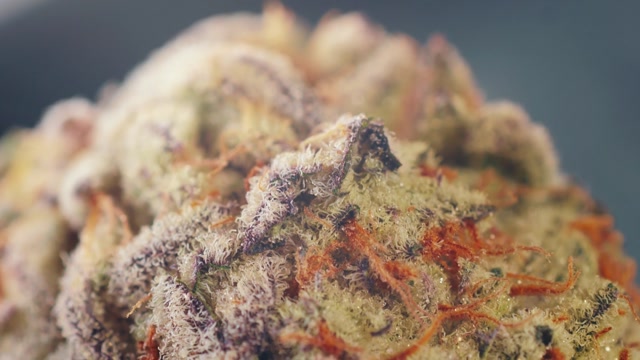 Hash Brown Stock Footage: Royalty-Free Video Clips - Storyblocks