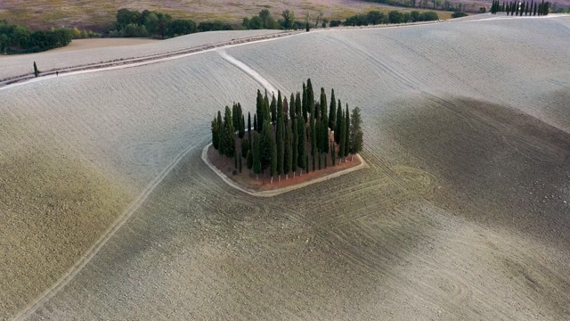 Italian Tree Stock Footage: Royalty-Free Video Clips - Storyblocks