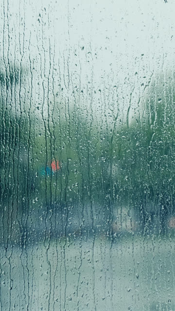 Morning Rain Stock Footage: Royalty-Free Video Clips - Storyblocks
