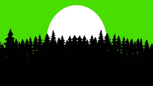 Forest Loop Stock Footage: Royalty-Free Video Clips - Storyblocks