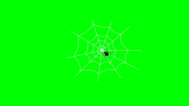 Spider Net Stock Footage: Royalty-Free Video Clips - Storyblocks