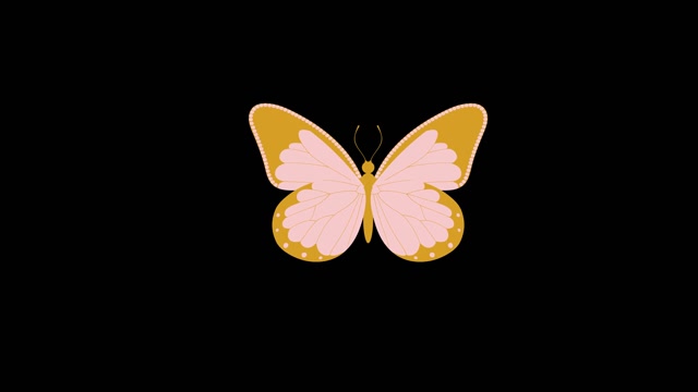 Flying Butterfly Animation Stock Footage: Royalty-Free Video Clips ...