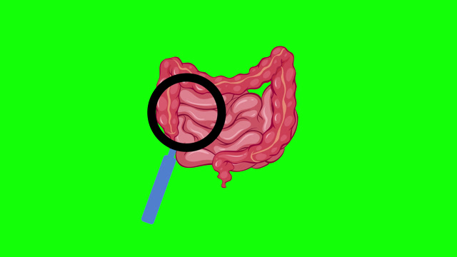 Intestine Animation Stock Footage: Royalty-Free Video Clips - Storyblocks