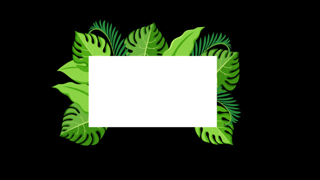 Rainforest Loop Stock Footage: Royalty-Free Video Clips - Storyblocks