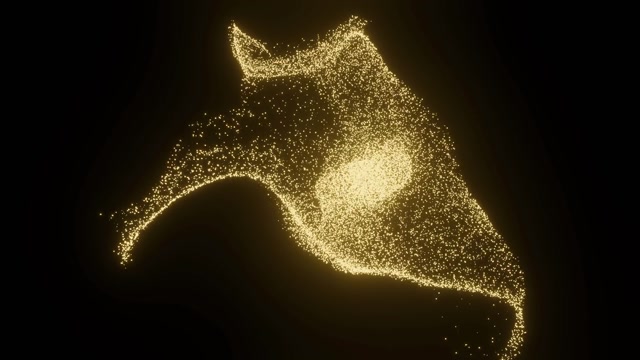 Appear Stock Footage: Royalty-Free Video Clips - Storyblocks