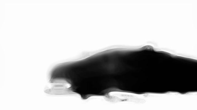 Squid Secreting Ink Stock Footage: Royalty-Free Video Clips - Storyblocks