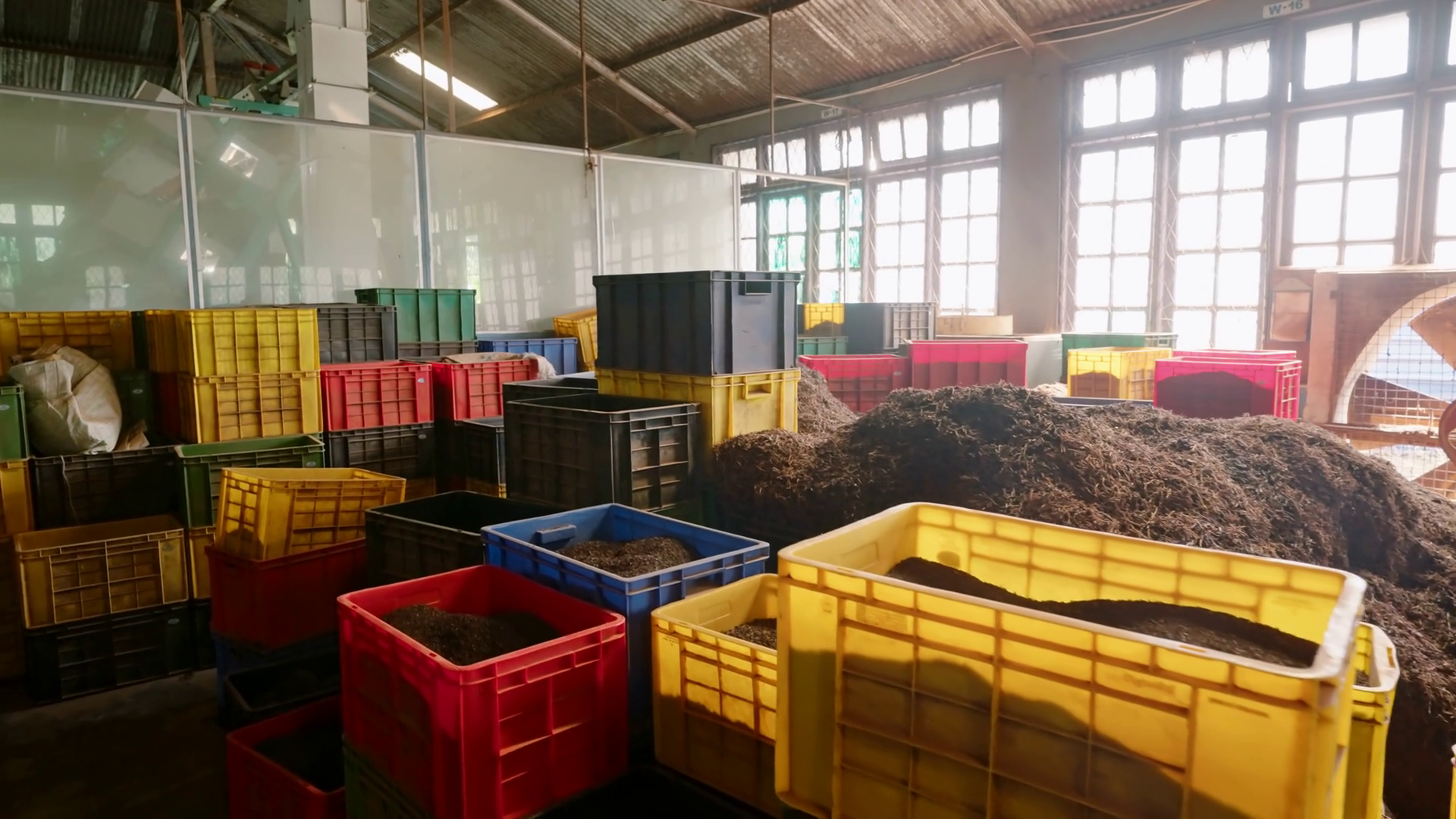 Inside Tea Factory Multicolored Containers Stock Footage SBV-349016071 ...