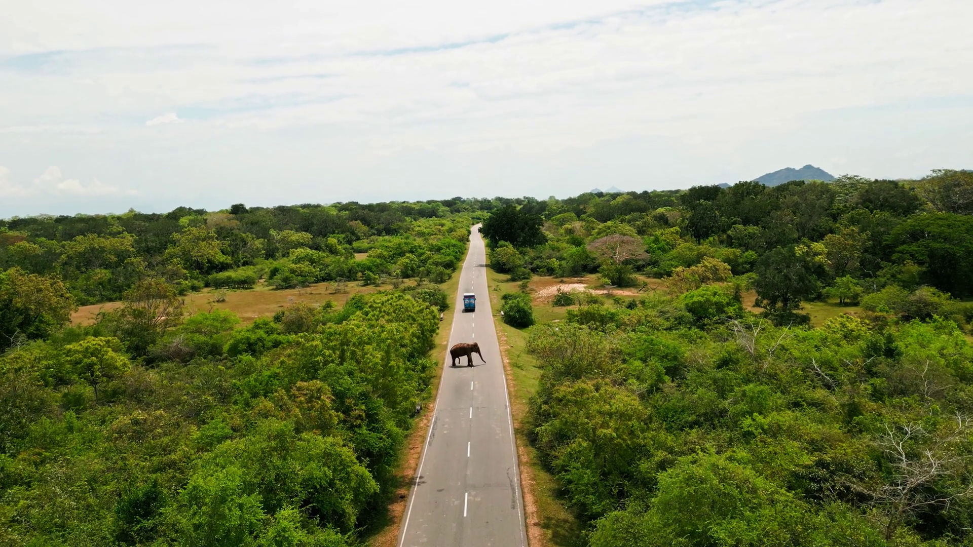 Aerial Drone Of Wild Elephant Crossing Stock Footage SBV-349009065 ...